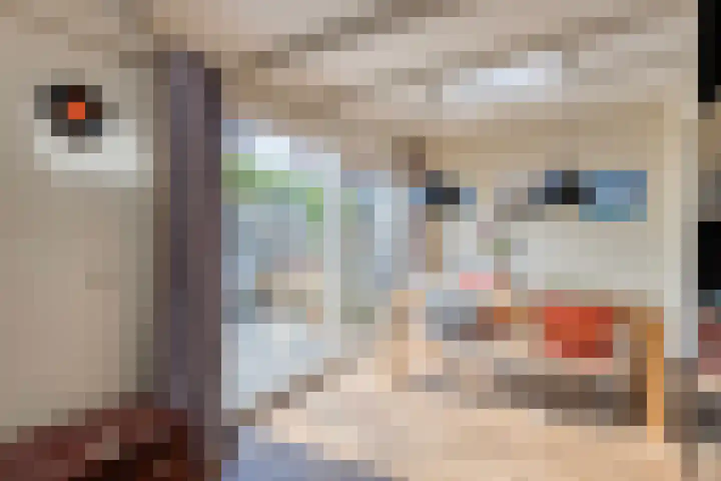 Lijsterbesstraat 15 Beek thumbnail 9