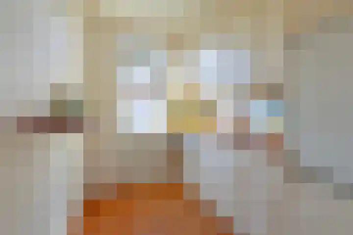 Lijsterbesstraat 16 Bergen op Zoom thumbnail 14