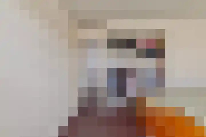 Lijsterbesstraat 16 Bergen op Zoom thumbnail 16