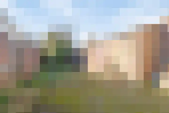 Lijsterbesstraat 16 Bergen op Zoom thumbnail 23