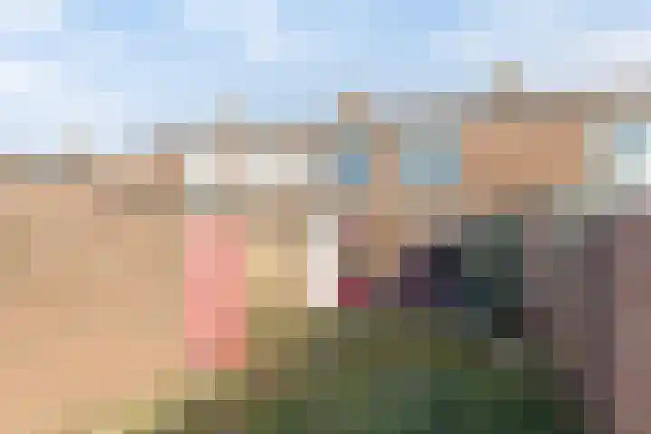 Lijsterbesstraat 16 Bergen op Zoom thumbnail 24