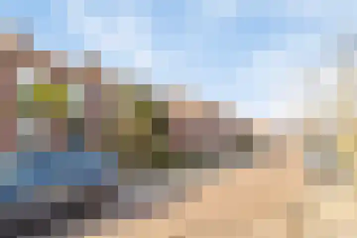 Lijsterbesstraat 16 Bergen op Zoom thumbnail 25