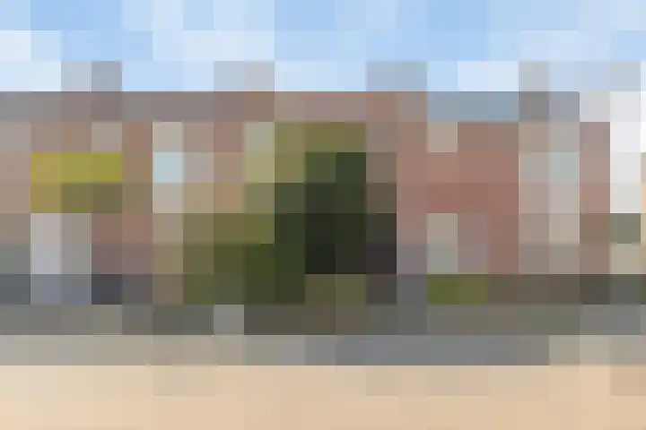 Lijsterbesstraat 16 Bergen op Zoom thumbnail 26