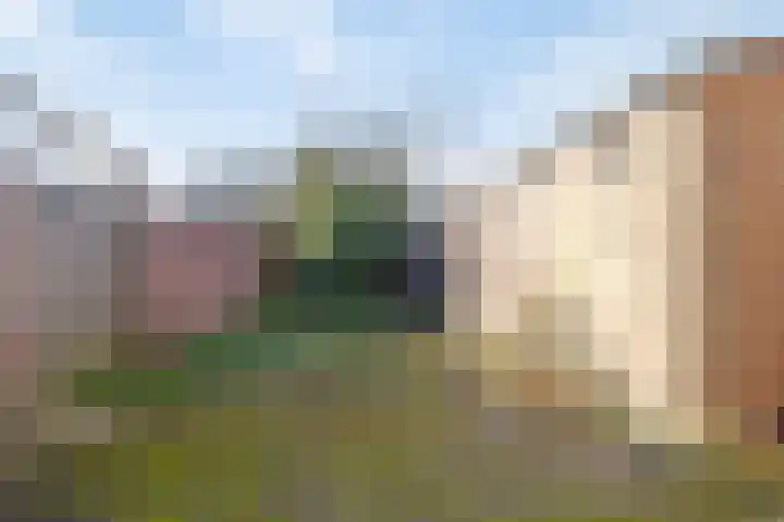 Lijsterbesstraat 16 Bergen op Zoom thumbnail 5