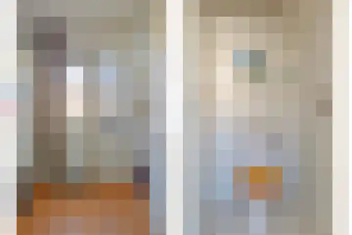 Lijsterbesstraat 16 Bergen op Zoom thumbnail 6