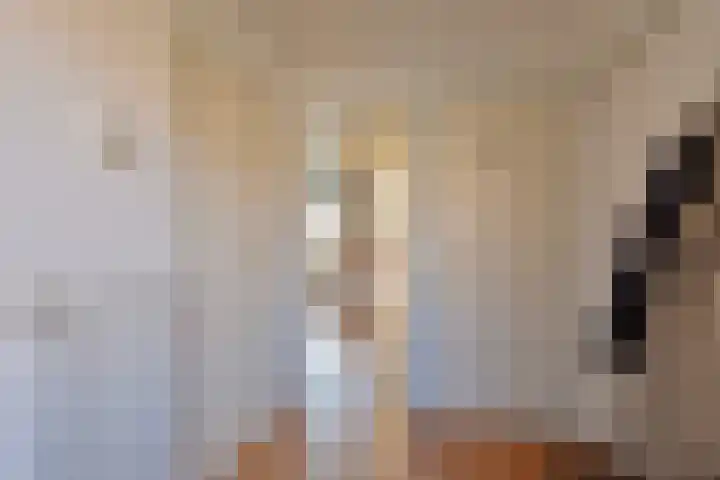 Lijsterbesstraat 16 Bergen op Zoom thumbnail 7