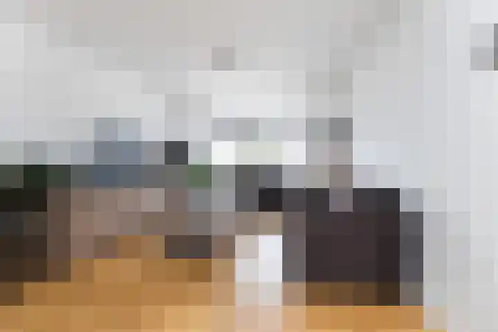 Lijsterbesstraat 16 Wezep thumbnail 12