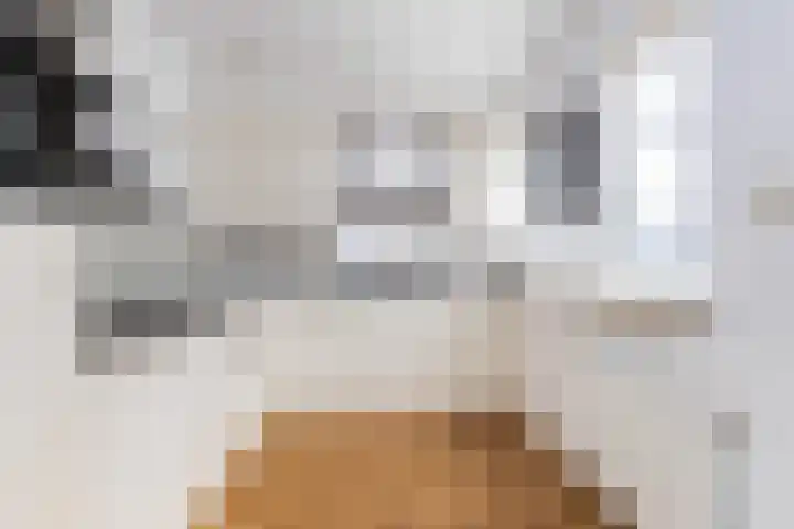 Lijsterbesstraat 16 Wezep thumbnail 15