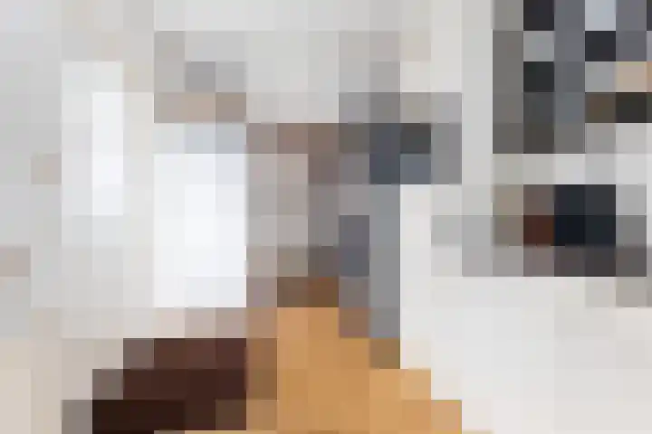 Lijsterbesstraat 16 Wezep thumbnail 16