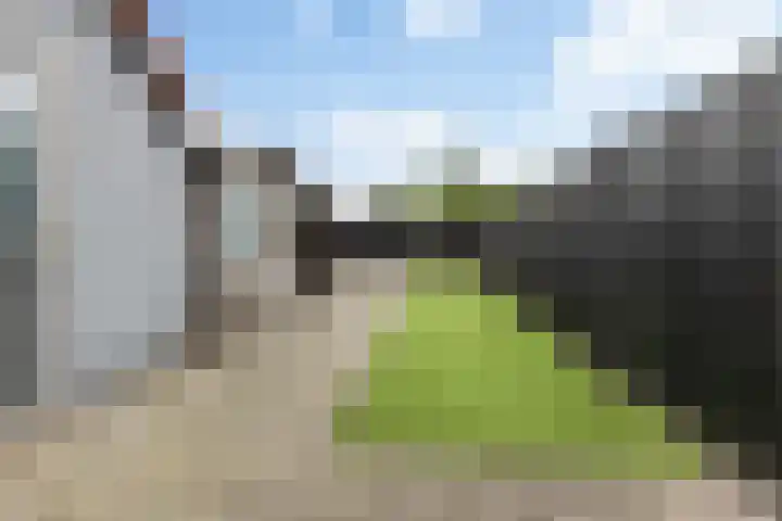 Lijsterbesstraat 16 Wezep thumbnail 26