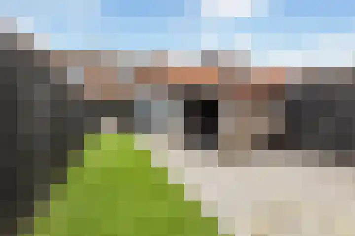 Lijsterbesstraat 16 Wezep thumbnail 28