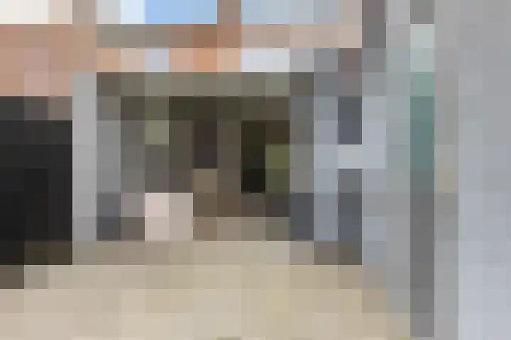 Lijsterbesstraat 16 Wezep thumbnail 29
