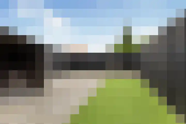 Lijsterbesstraat 16 Wezep thumbnail 4