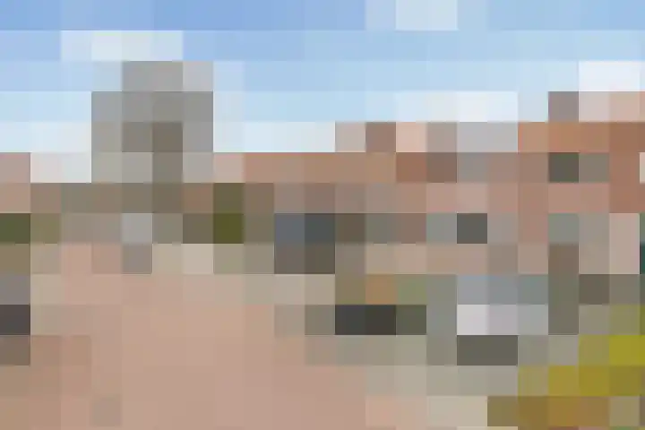 Lijsterbesstraat 16 Wezep thumbnail 5