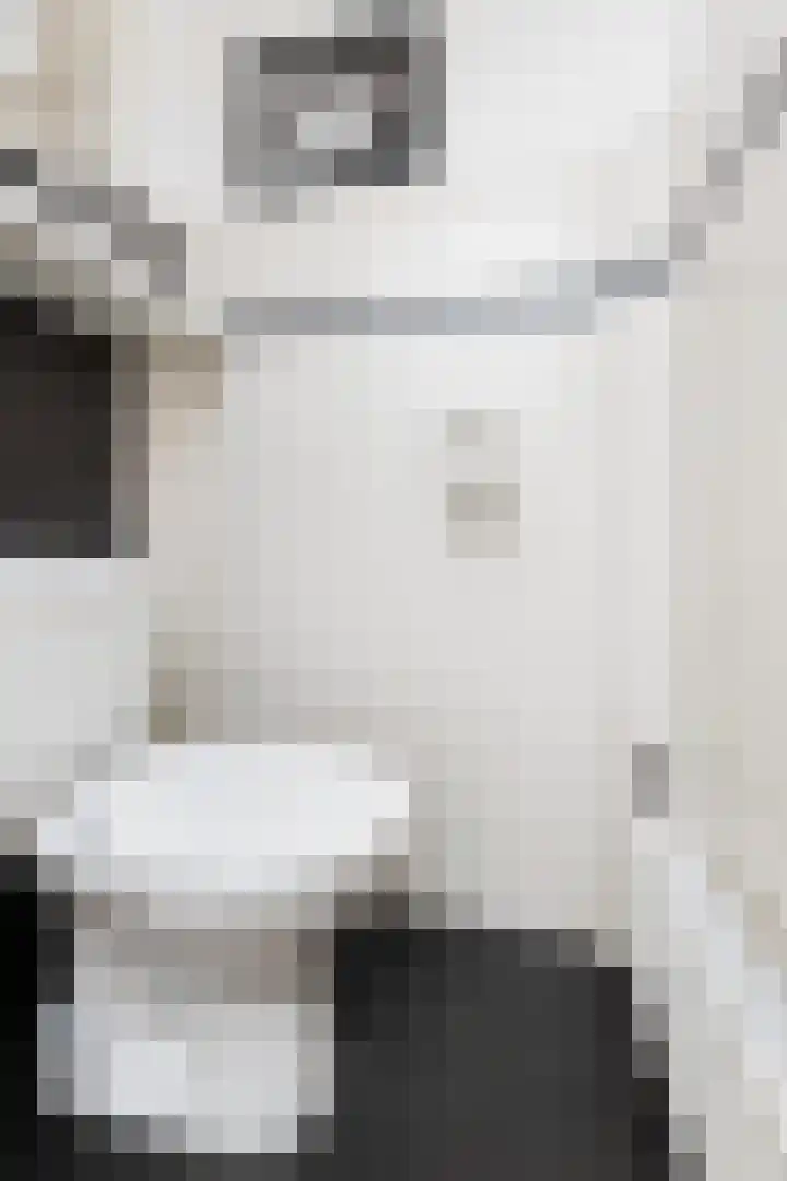 Lijsterbesstraat 16 Wezep thumbnail 8