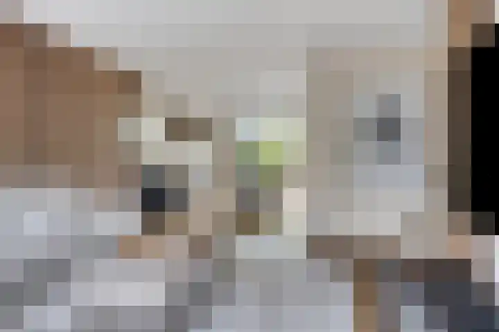 Lijsterbesstraat 17 Heteren thumbnail 10