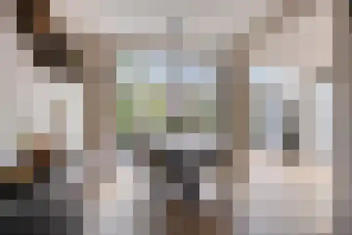 Lijsterbesstraat 17 Heteren thumbnail 11
