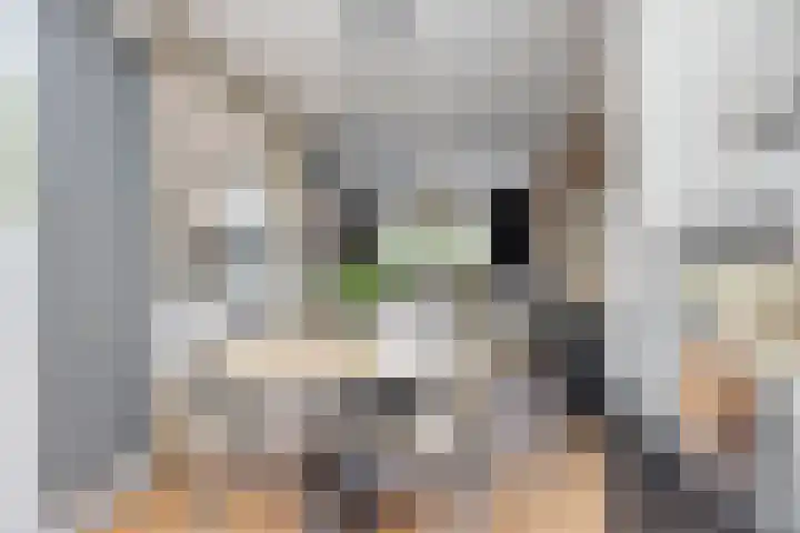 Lijsterbesstraat 17 Heteren thumbnail 12