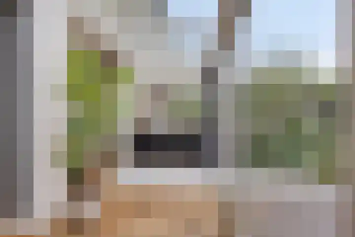 Lijsterbesstraat 17 Heteren thumbnail 17