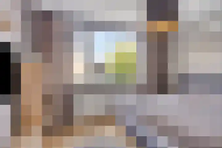 Lijsterbesstraat 17 Heteren thumbnail 20