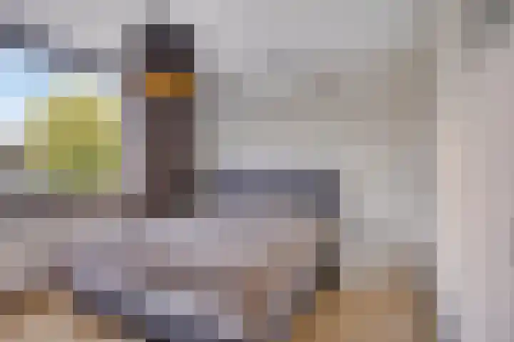 Lijsterbesstraat 17 Heteren thumbnail 21