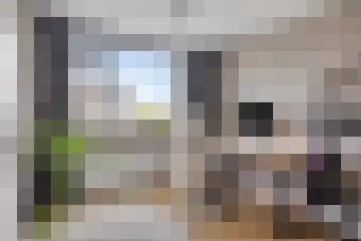 Lijsterbesstraat 17 Heteren thumbnail 25