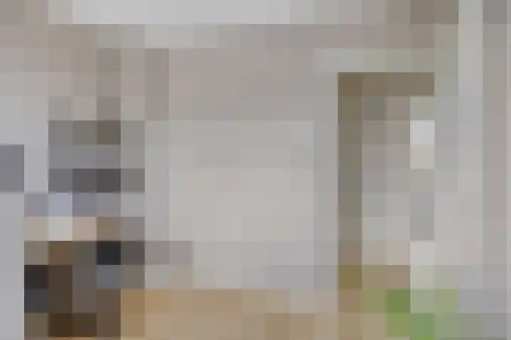 Lijsterbesstraat 17 Heteren thumbnail 26