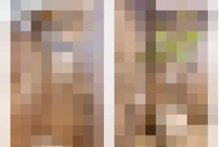 Lijsterbesstraat 17 Heteren thumbnail 28