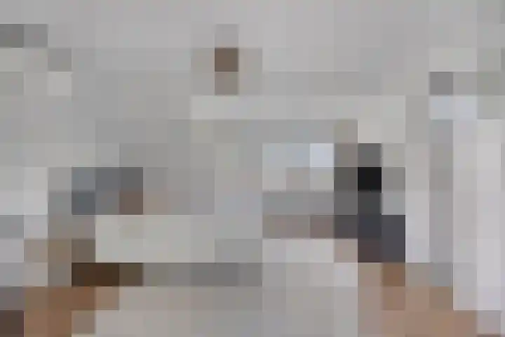Lijsterbesstraat 17 Heteren thumbnail 31