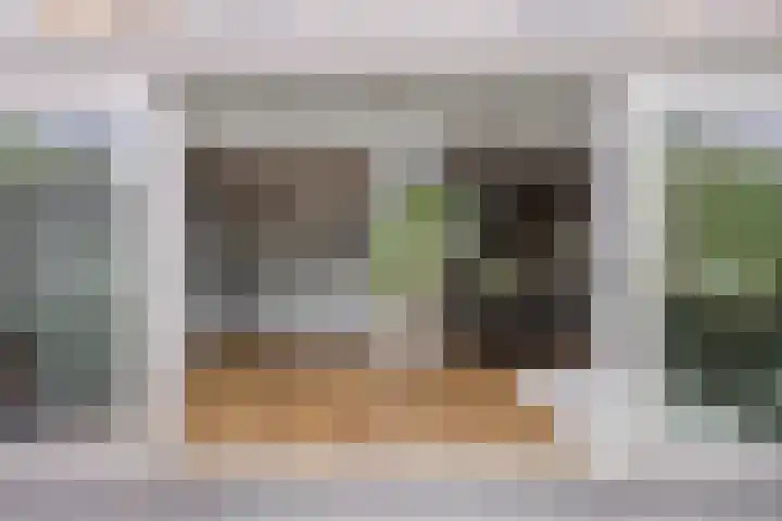 Lijsterbesstraat 17 Heteren thumbnail 34