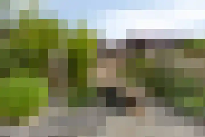 Lijsterbesstraat 17 Heteren thumbnail 36