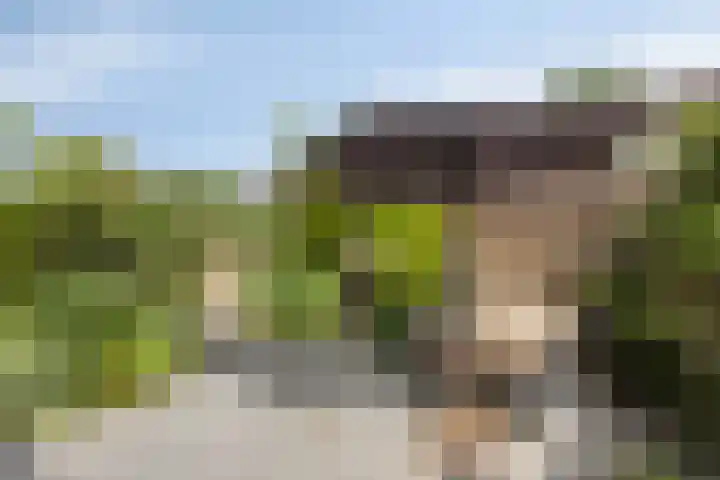 Lijsterbesstraat 17 Heteren thumbnail 37