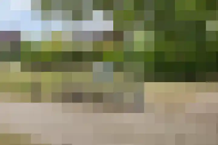 Lijsterbesstraat 17 Heteren thumbnail 39