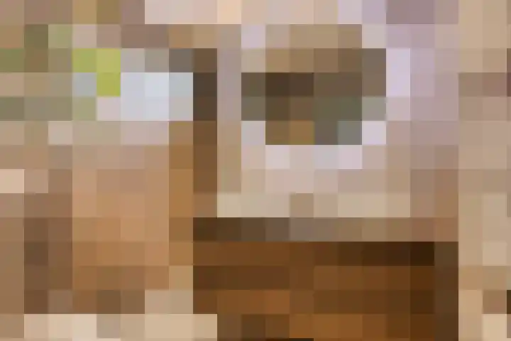 Lijsterbesstraat 17 Heteren thumbnail 4