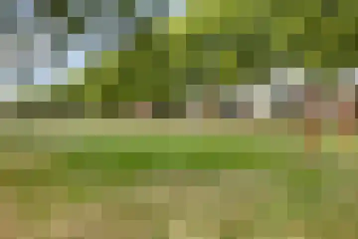 Lijsterbesstraat 17 Heteren thumbnail 40
