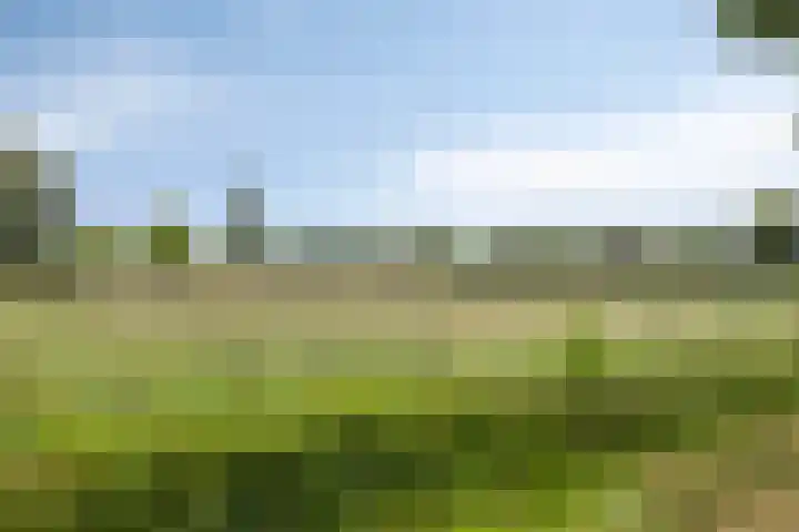 Lijsterbesstraat 17 Heteren thumbnail 41