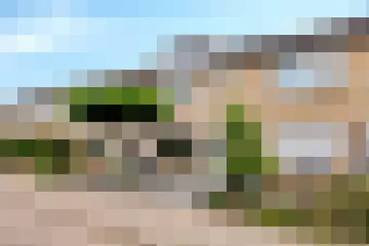 Lijsterbesstraat 17 Heteren thumbnail 6