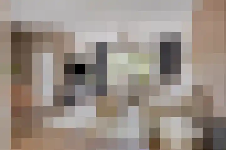 Lijsterbesstraat 17 Heteren thumbnail 8