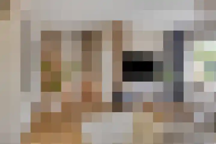 Lijsterbesstraat 17 Heteren thumbnail 9