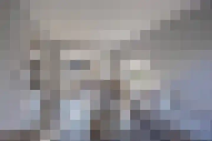 Lijsterbesstraat 17 Opheusden thumbnail 11