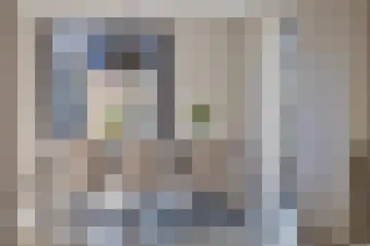 Lijsterbesstraat 17 Opheusden thumbnail 12