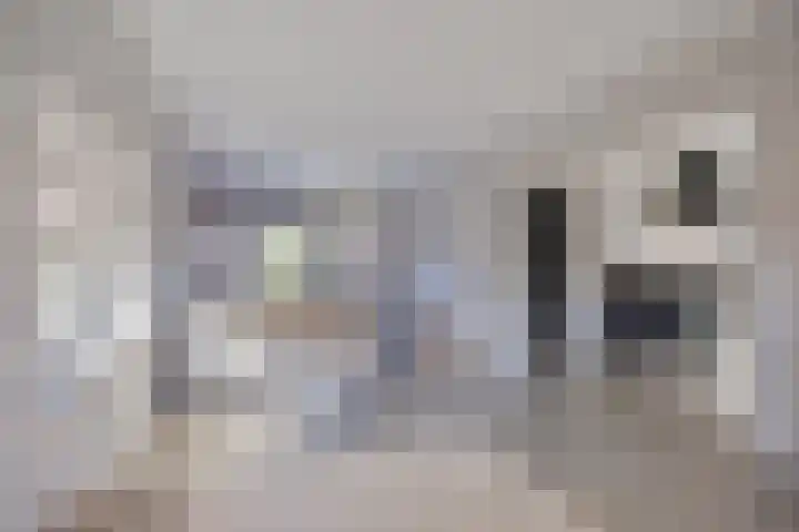 Lijsterbesstraat 17 Opheusden thumbnail 13