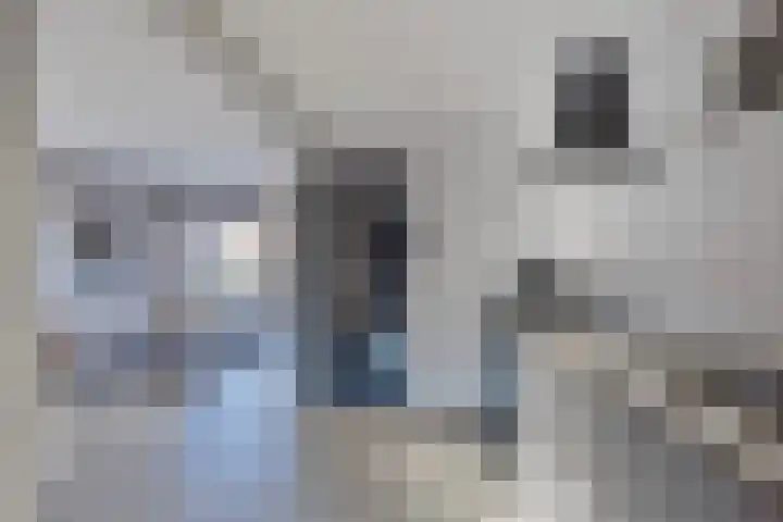 Lijsterbesstraat 17 Opheusden thumbnail 15