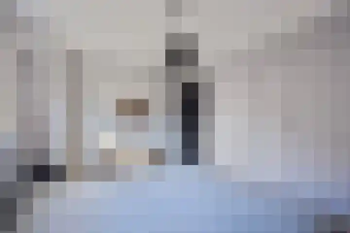 Lijsterbesstraat 17 Opheusden thumbnail 20