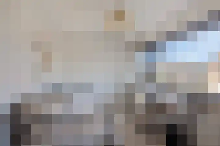 Lijsterbesstraat 17 Opheusden thumbnail 21