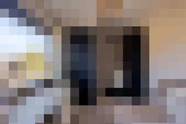 Lijsterbesstraat 17 Opheusden thumbnail 22