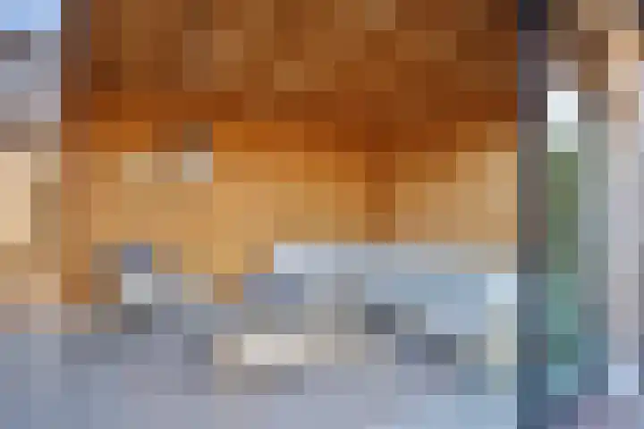 Lijsterbesstraat 17 Opheusden thumbnail 30