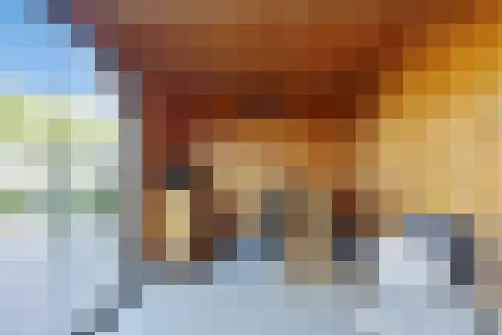 Lijsterbesstraat 17 Opheusden thumbnail 32