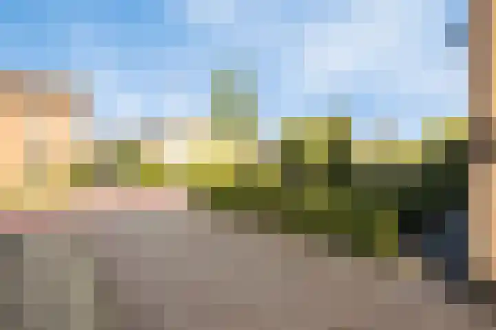 Lijsterbesstraat 17 Opheusden thumbnail 36