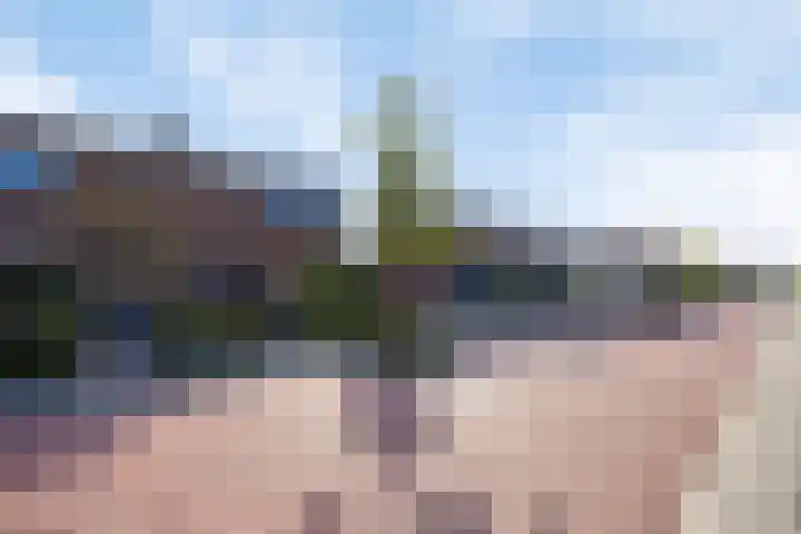 Lijsterbesstraat 17 Opheusden thumbnail 37